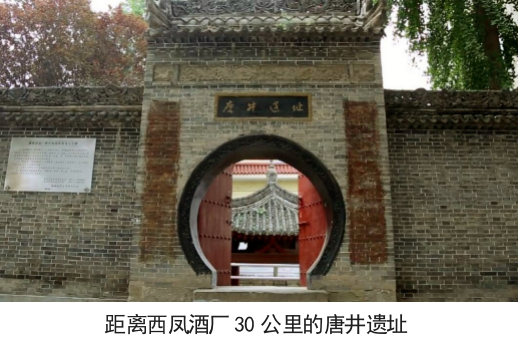 必一运动bsport体育