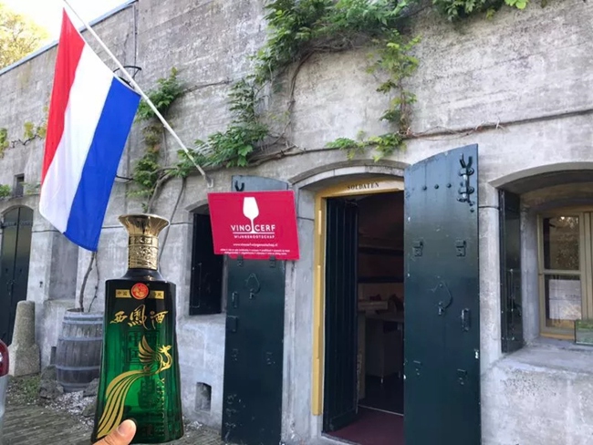 1540805143376054.jpg 640.webp.jpg