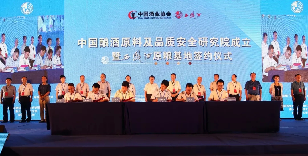 必一运动bsport体育