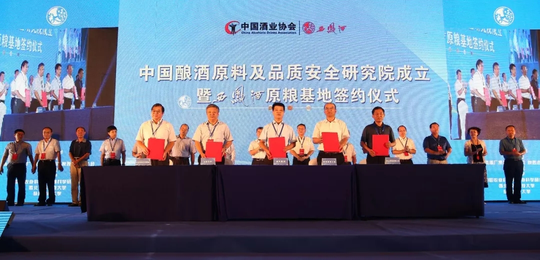 必一运动bsport体育