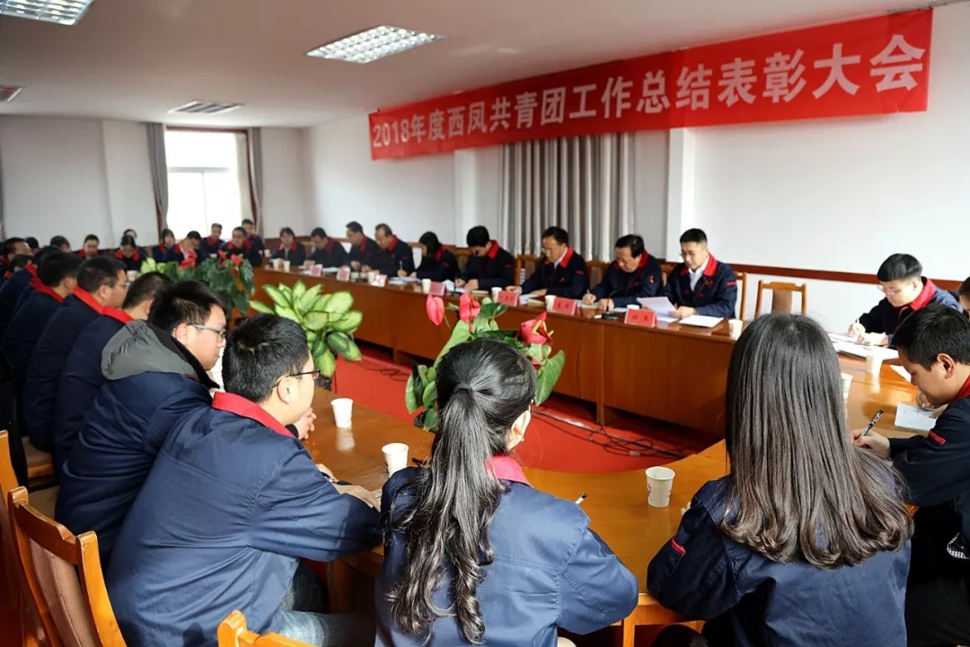 必一运动bsport体育