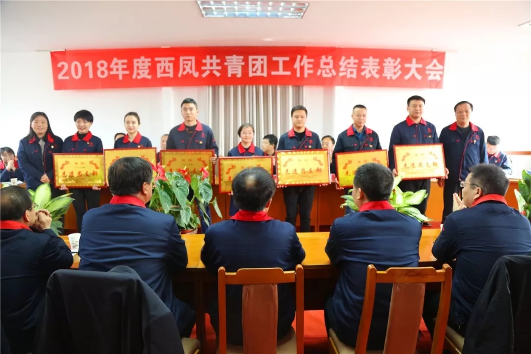 必一运动bsport体育