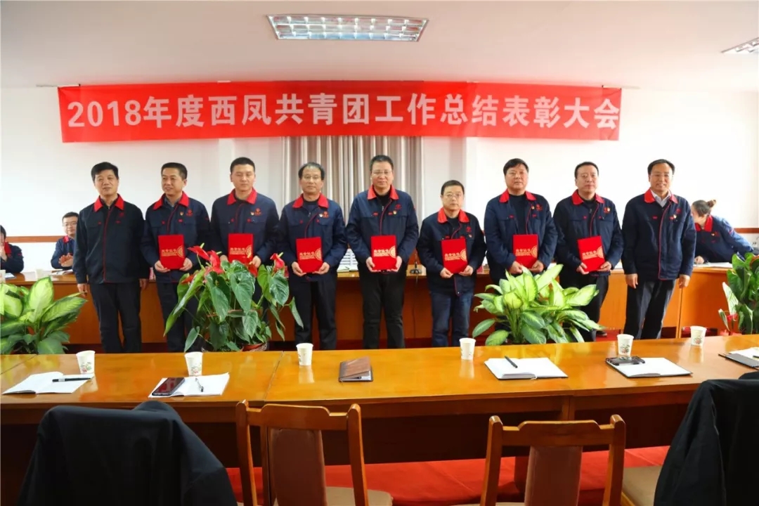 必一运动bsport体育