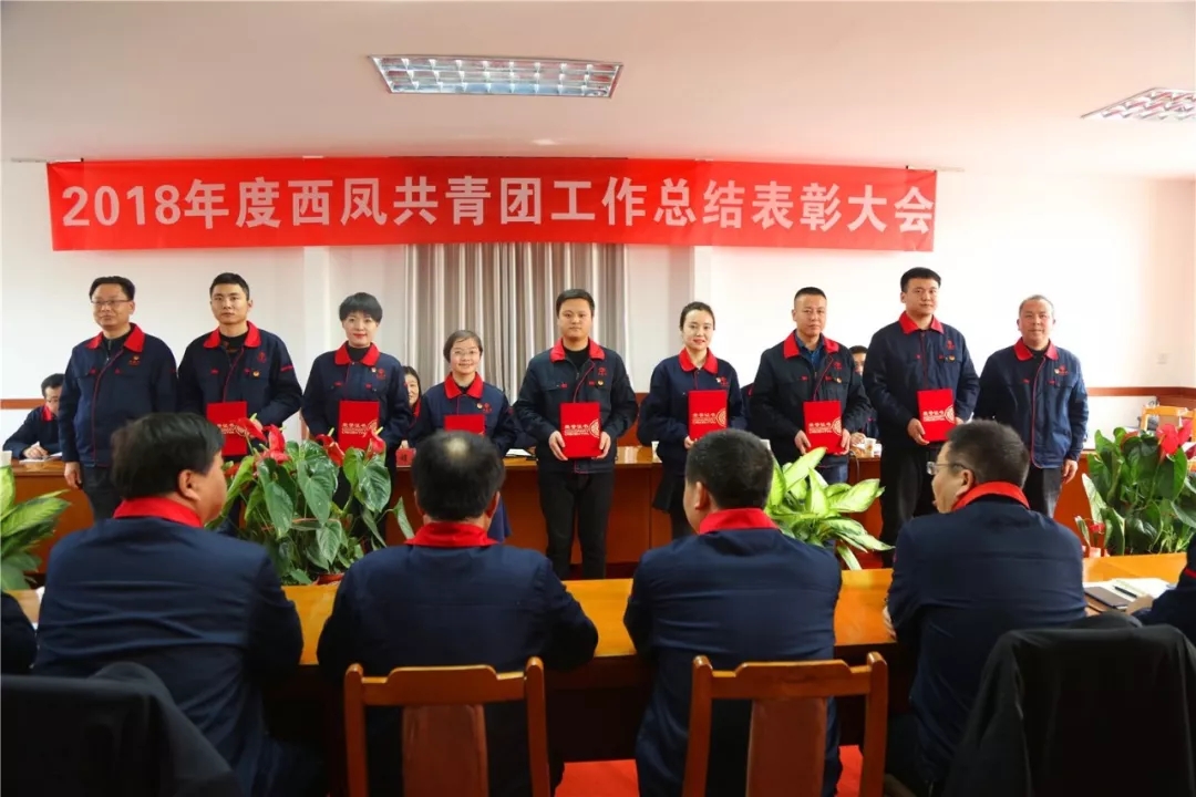 必一运动bsport体育