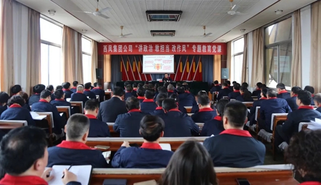 必一运动bsport体育