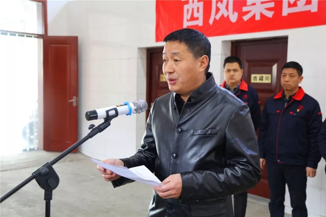 必一运动bsport体育