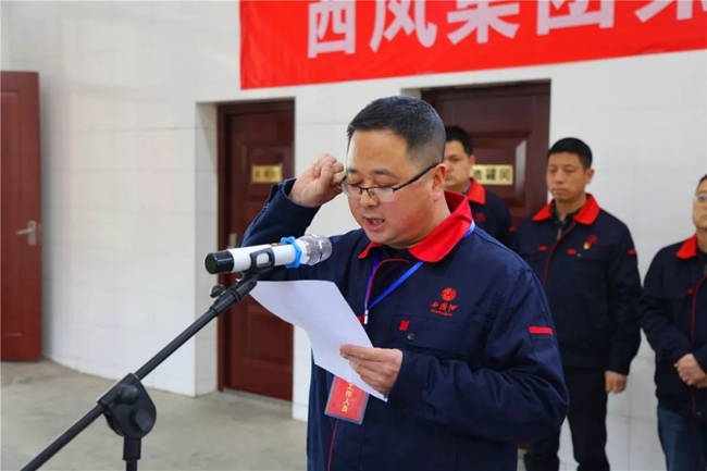 必一运动bsport体育