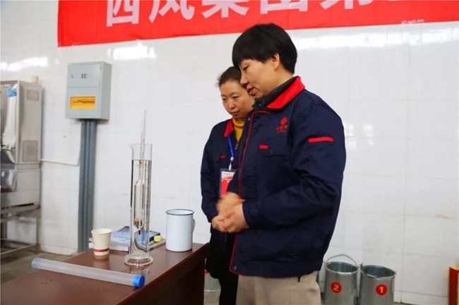 必一运动bsport体育