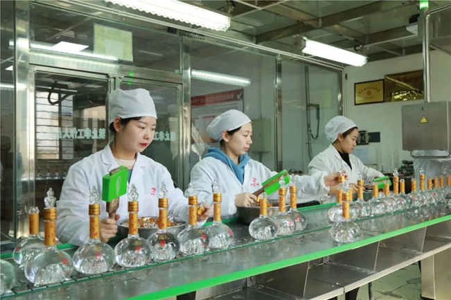 必一运动bsport体育