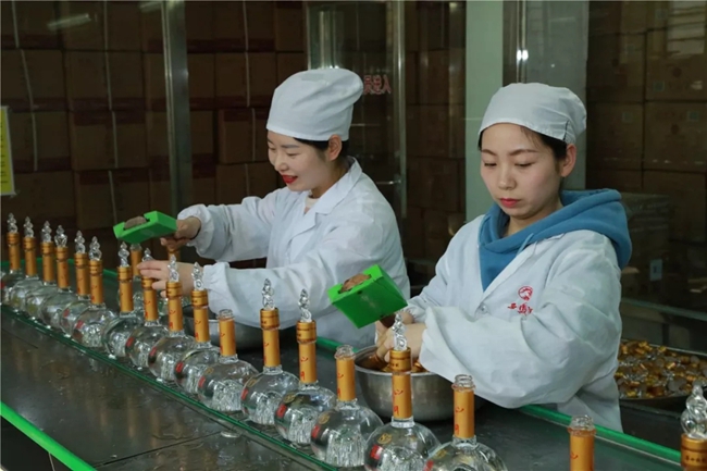 必一运动bsport体育