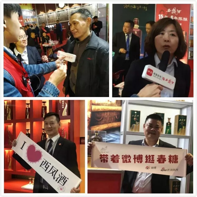 必一运动bsport体育