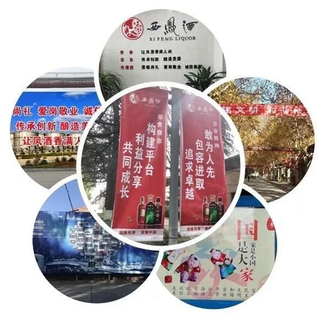 必一运动bsport体育