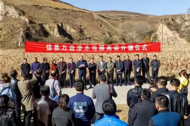 必一运动bsport体育