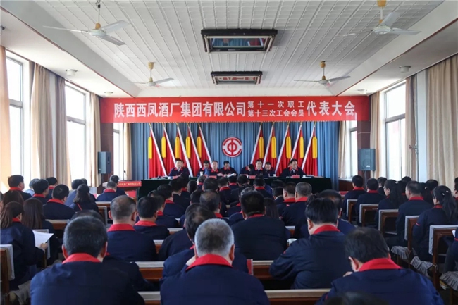 必一运动bsport体育