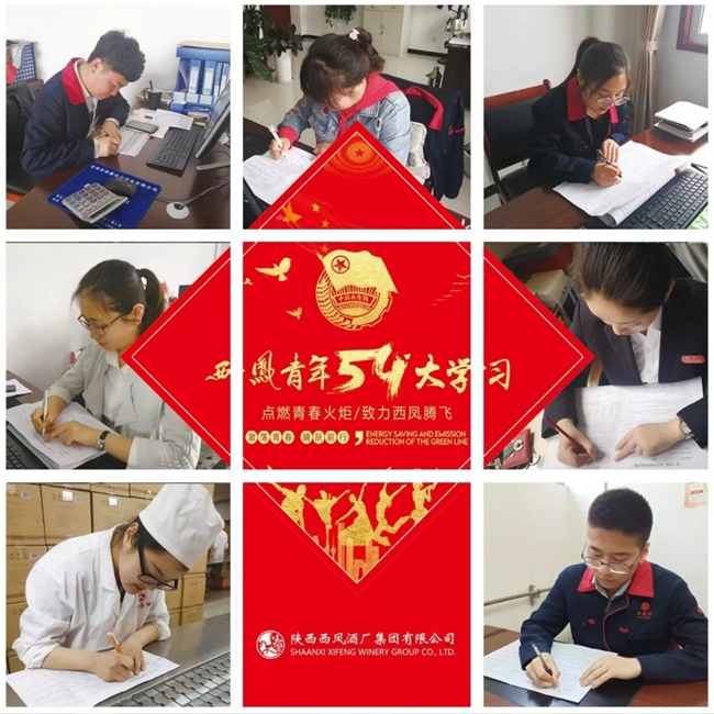 必一运动bsport体育