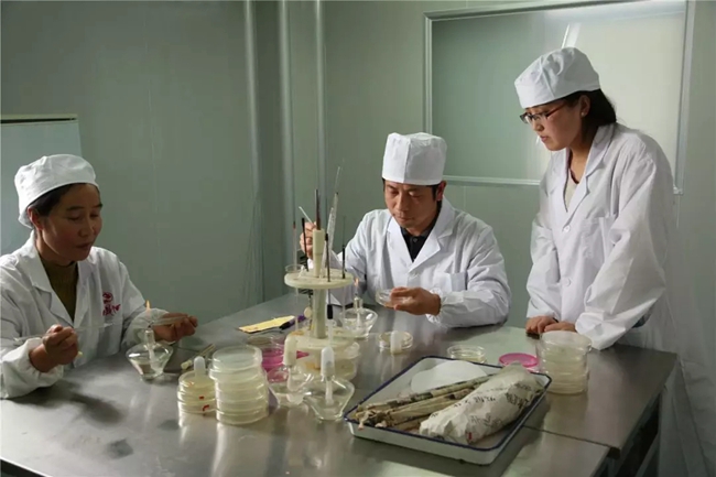 必一运动bsport体育