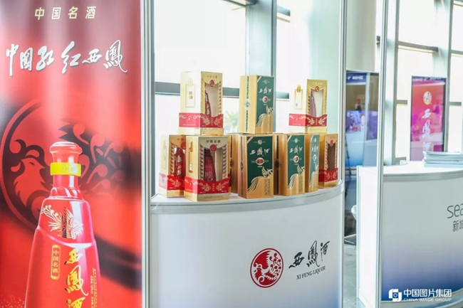 必一运动bsport体育