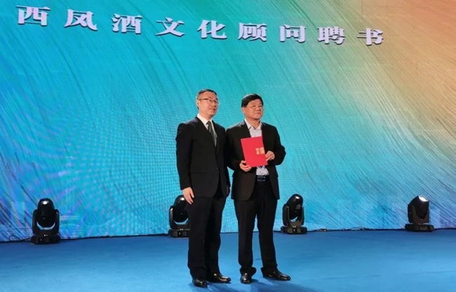 必一运动bsport体育