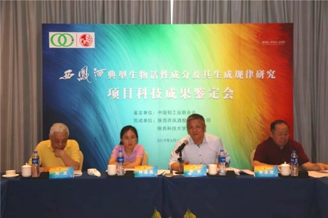 必一运动bsport体育