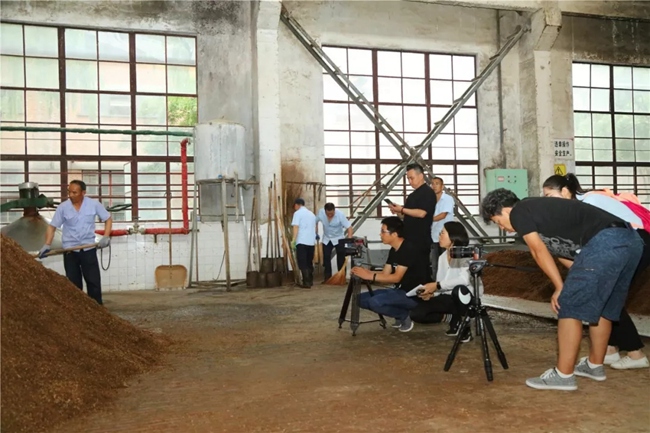 必一运动bsport体育