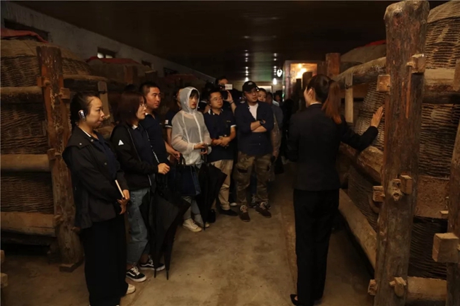 必一运动bsport体育