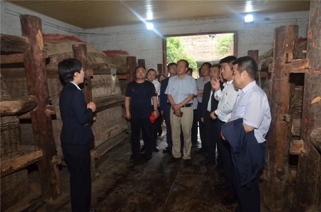 必一运动bsport体育