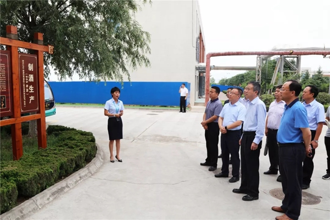 必一运动bsport体育