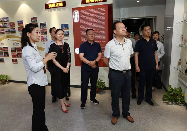 必一运动bsport体育