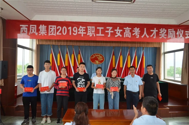 必一运动bsport体育