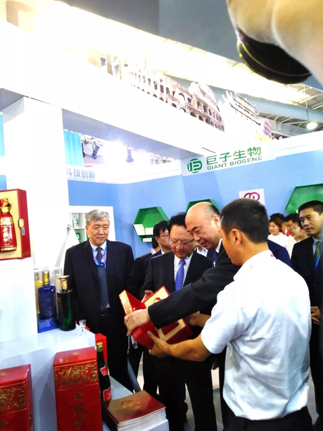 必一运动bsport体育