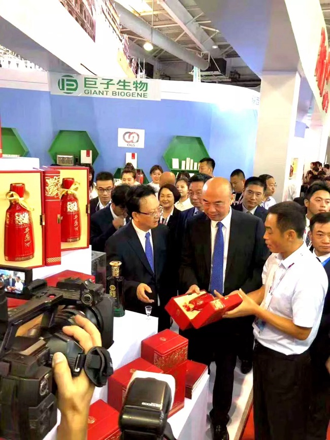 必一运动bsport体育