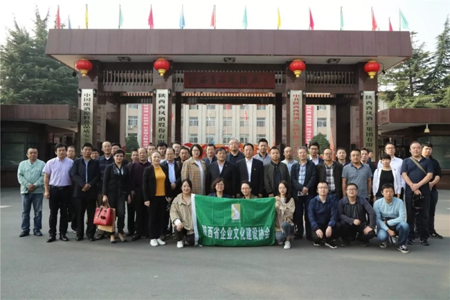 必一运动bsport体育