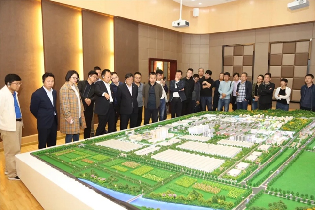 必一运动bsport体育