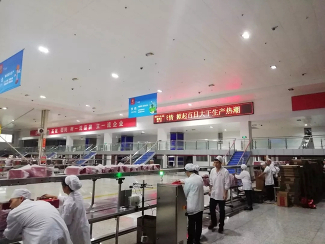 必一运动bsport体育