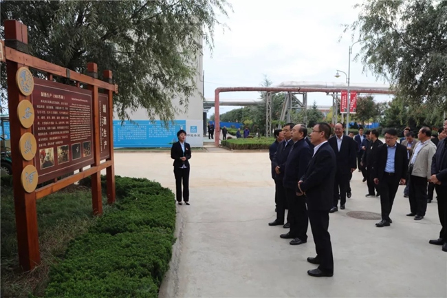 必一运动bsport体育