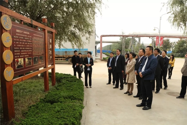 必一运动bsport体育