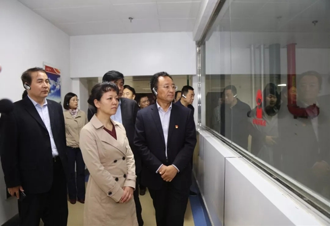 必一运动bsport体育