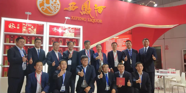 必一运动bsport体育