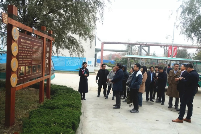 必一运动bsport体育