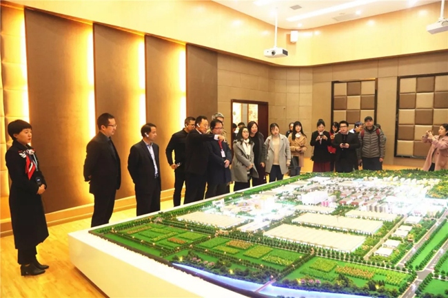 必一运动bsport体育