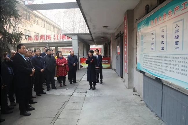 必一运动bsport体育