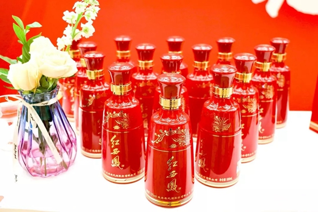 必一运动bsport体育