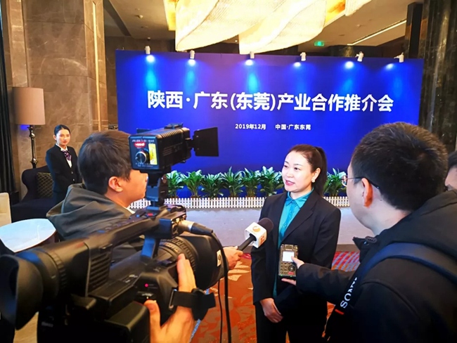 必一运动bsport体育