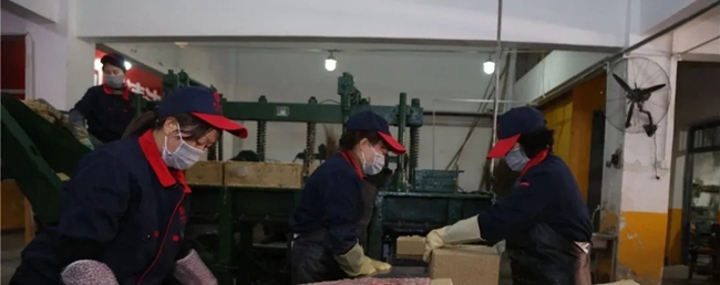 必一运动bsport体育