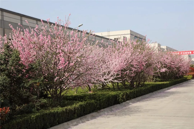 必一运动bsport体育