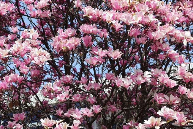 必一运动bsport体育