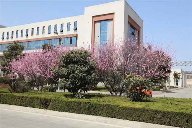 必一运动bsport体育