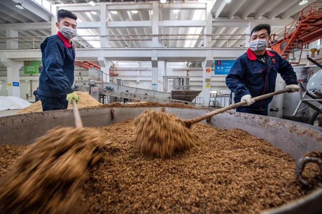 必一运动bsport体育