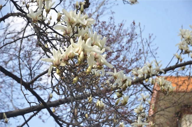 必一运动bsport体育