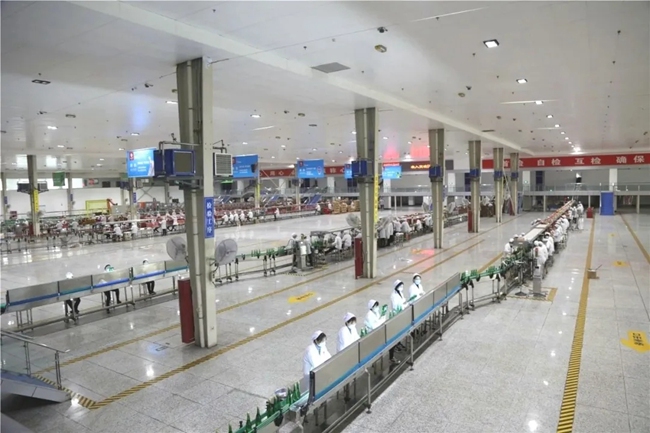 必一运动bsport体育